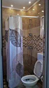 BunaHacienda Neretva的浴室配有带卫生间的淋浴帘