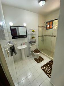 圣地亚哥洛斯卡巴Casa Corona Plaza的带淋浴、卫生间和盥洗盆的浴室