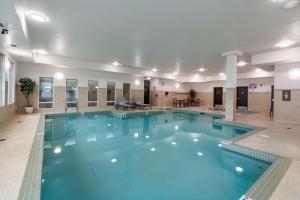 圣艾伯特圣艾伯特贝斯特韦斯特优质酒店的大楼内一个蓝色的大型游泳池