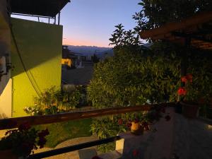 卡瓦纳科德Las Palmeras Eco Hostel的享有鲜花和植物的阳台