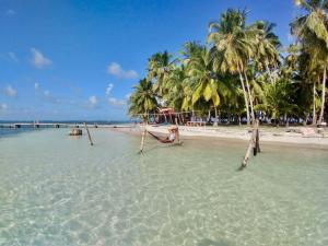 WaisalatupoPrivate Over-Water Cabin on paradise San Blas island的棕榈树海滩和海水海滩