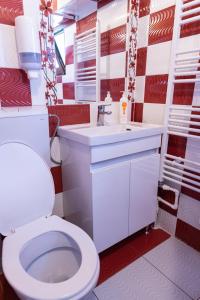 杜劳Pensiunea Novac的浴室配有白色卫生间和盥洗盆。