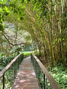 卡拉图八角形旅馆的树木繁茂的公园里的木桥