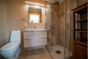 利勒哈默尔Sanns villa的浴室配有卫生间、盥洗盆和淋浴。