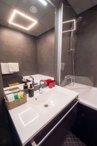 维尔扬迪维尔扬迪中心酒店的一间带水槽和淋浴的浴室
