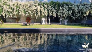 普吉镇Phuket Nonnita Boutique Resort - SHA Plus的水池,有一棵白花树