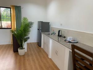 莫阿尔博阿Palm Tree Lodge的厨房配有台面和冰箱