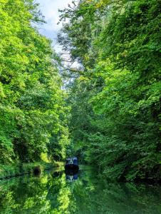 Mini Escape - 2 Berth Narrowboat on the Grand Union, Hertfordshire的一条树木繁茂的河中小船