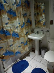 比亚里卡Hostal Valentino Villarrica的浴室配有水槽、卫生间和浴帘