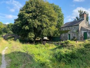 多诺A magical hideaway overlooking the river Boyne的一座古老的石头房子,在田野上种着树