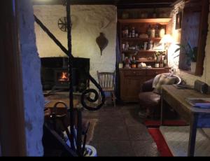 多诺A magical hideaway overlooking the river Boyne的客厅设有壁炉和沙发。