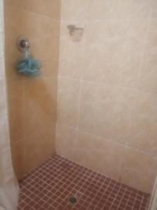 拉莫西Grace's Santuary的铺有红色瓷砖地板的淋浴和淋浴器