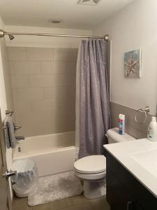 里士满Charming 2 bedroom apartment near VCU的浴室配有卫生间、浴缸和水槽。