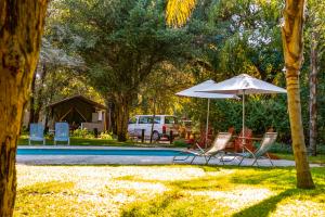 卡蒂马穆利洛Zambezi Mubala Camp的一组椅子和一把遮阳伞,位于游泳池旁