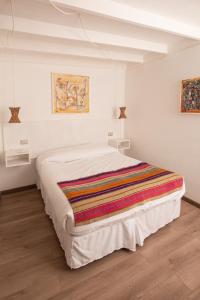 圣佩德罗·德·阿塔卡马Hostal Copart的一间卧室配有一张带彩色毯子的床