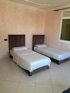 纳祖尔Marchica Apartment Nador Jadid Wifi Klima的配有两张床的客房内。