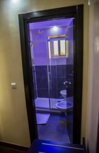 尼亚美Hotel Univers 3 Aeroport Luxe的一间带卫生间和玻璃门的浴室