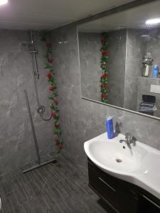 亚实基伦Crazy Suite的浴室配有盥洗盆和带镜子的淋浴