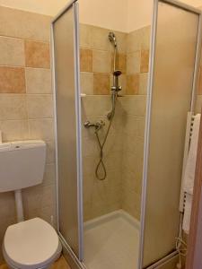 斯特雷萨达吉西旅馆的带淋浴的浴室和卫生间