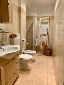 斯特雷萨达吉西旅馆的浴室配有卫生间、盥洗盆和淋浴。