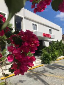 福塔莱萨Hotel Aeroporto Montese Star的前面有粉红色花的建筑