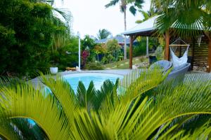 圣弗朗索瓦Résidence Mapou : Bungalow Cycas - logement de charme avec piscine的棕榈树花园内的游泳池