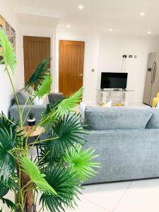 雷丁Corbridge Road的客厅配有蓝色的沙发和棕榈树