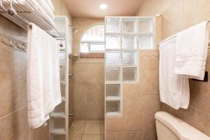 圣何塞XIN Bed&Breakfast的带淋浴和卫生间的浴室
