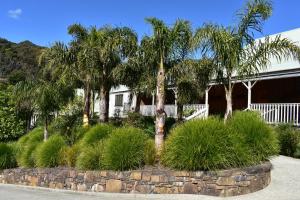科罗曼德镇Atea Lodge的一座棕榈树和石墙的房子