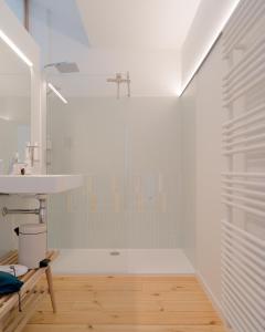 列日La Maison de Chestret的带淋浴和盥洗盆的浴室