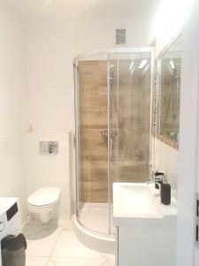 埃尔布隆格Apartament Ania Stare Miasto的带淋浴、卫生间和盥洗盆的浴室