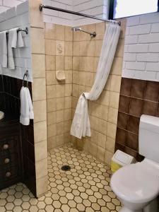 托克姆沃尔面包店公园汽车旅馆 的带淋浴和卫生间的浴室