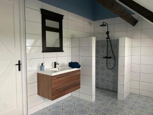 OosterendBed & Breakfast ‘Tuus op Tessel’的一间带水槽、镜子和淋浴的浴室