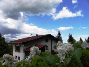 韦希瑟尔山麓圣科罗纳阿普斯琴尔宾馆的前面有白色花的房子
