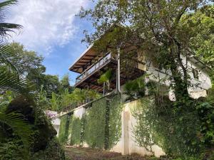 蒙特苏马Jungle Villa copa de árbol, oceanview, infinity的旁边是常春藤建筑