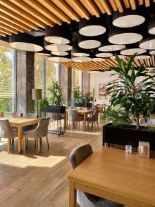 兹邦申Navigator Hotel i Konferencje的餐厅设有桌椅和带灯的天花板