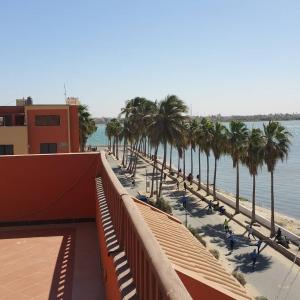 圣路易斯Hôtel La Palmeraie Saint Louis Sénégal的享有棕榈树海滩和大海的景色