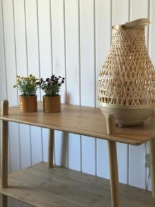 齐斯泰兹Seaside Top的木桌旁的花瓶,有三株植物