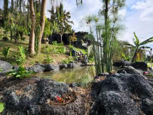 麦德林Glamping Spa & Coffee Tour的一座拥有岩石和树木的花园和一个池塘