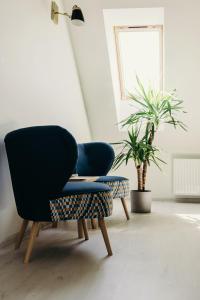 VievisGreen Town的植物间里的一个蓝色椅子
