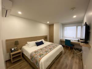 麦德林EcoHub Hotel Medellin的一间卧室配有一张床、一张书桌和一台电视