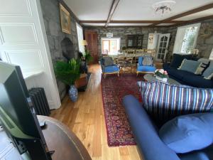 康镇Salmon Weir Lodge的客厅配有蓝色的沙发和蓝色的椅子
