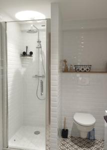 沙勒维尔-梅济耶尔La suite d'Arches的带淋浴和卫生间的白色浴室