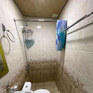 撒马尔罕Hotel Mohina的设有带淋浴间和卫生间的浴室