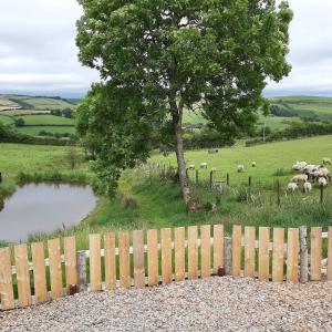 克雷文阿姆斯Eco Accommodation Cornflower的池塘边的围栏,池塘边的绵羊在田野里
