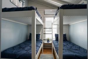 圣奥古斯丁Bernard Street Bungalow的小型客房设有两张双层床和窗户。