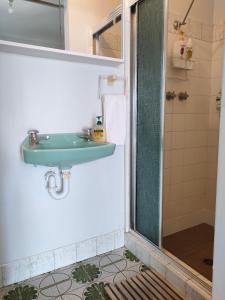 麦夸里港Citadel Suite的一间带水槽和淋浴的浴室
