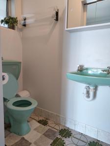 麦夸里港Citadel Suite的浴室配有绿色卫生间和水槽。