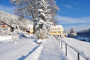 冬天的Gasthof-Pension Berghof