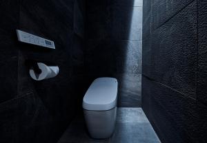 名古屋HOTEL和紡的浴室设有卫生间和一卷卫生纸